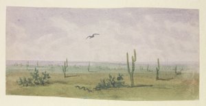 De Amerikaanse Boa Constrictor door George Sand